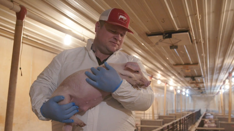A pork farmer holds a pig.