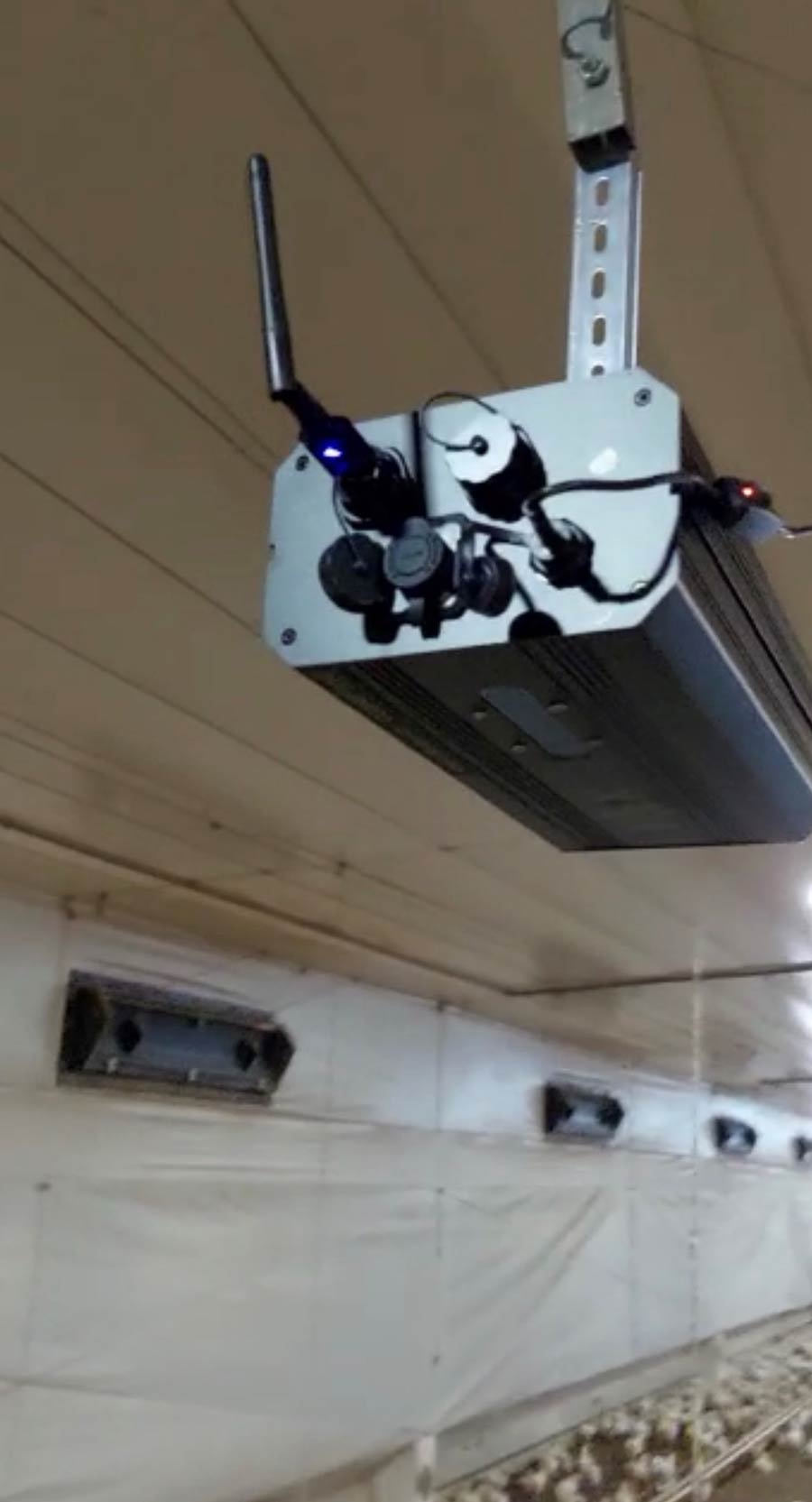 Birdoo device mounted on the ceiling of a poultry barn.