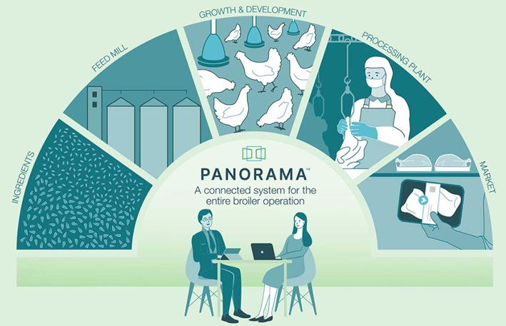 A infographic highlights the connected system of Panorama software for chicken farmers. A infographic highlights the connected system of Panorama software for chicken farmers.