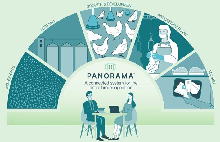 A infographic highlights the connected system of Panorama software for chicken farmers.