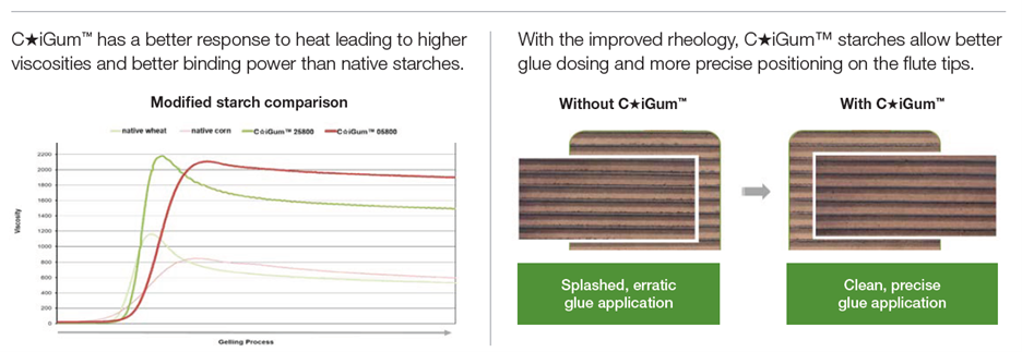 Paper and Board: C* iGum Technical Highlights