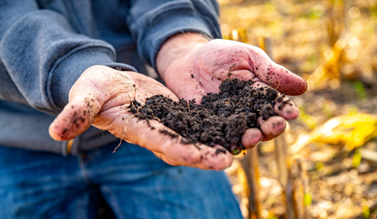 hands full of soil image hands full of soil image