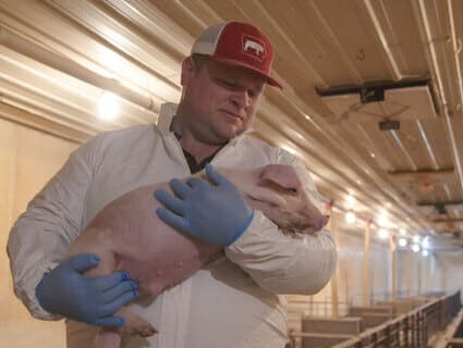 A pork farmer holds a pig.