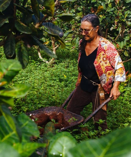 woman with gardening cart in nature image