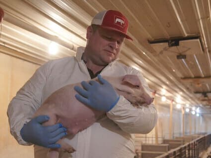 A pork farmer holds a pig.