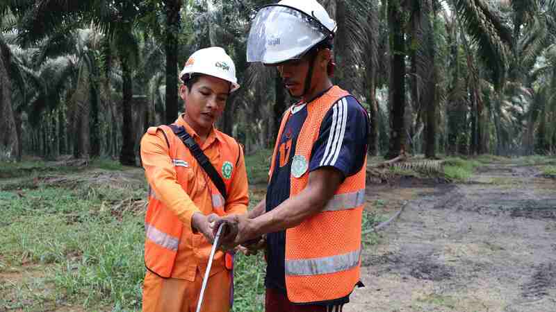 Cargill rspo sustainable palmoil -IMG01