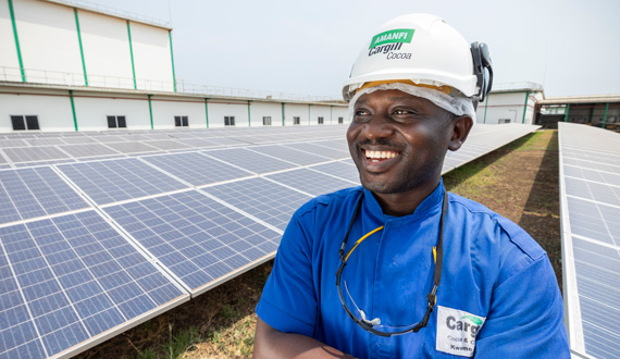 Cargill employee with hardhat in front of a solar panel farm image