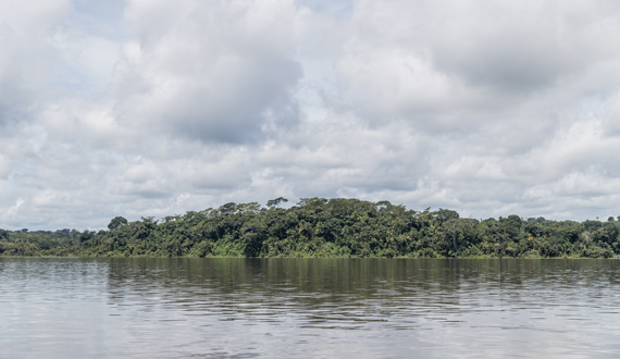 Amazon river landscape image