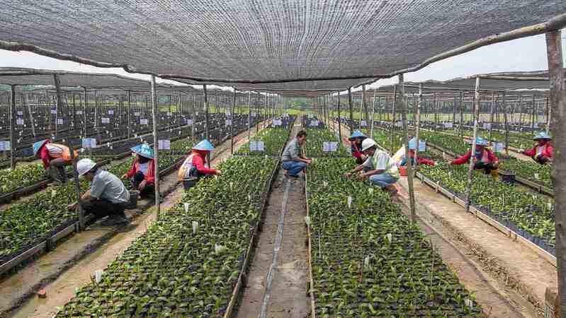 Cargill rspo sustainable palmoil