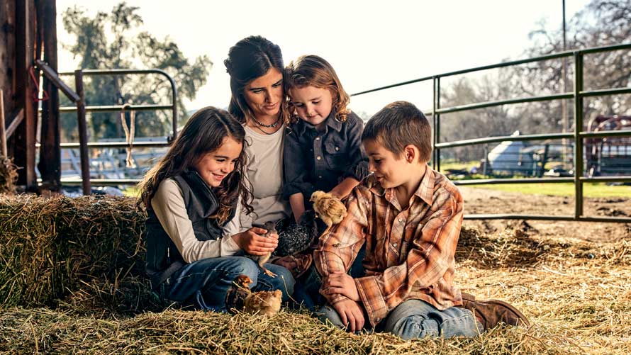 A woman and children look at a small chicks on a farm. A woman and children look at a small chicks on a farm.