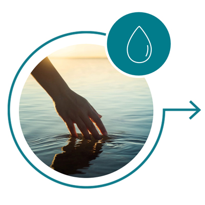 The Jojoba Promise - Sustainable Water Use