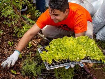 Food access volunteers