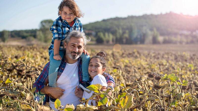 A father and his two daughters standing in a sunflower field.