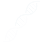 Feed Additive - Icon - Nutritional and Microbiome Expertise