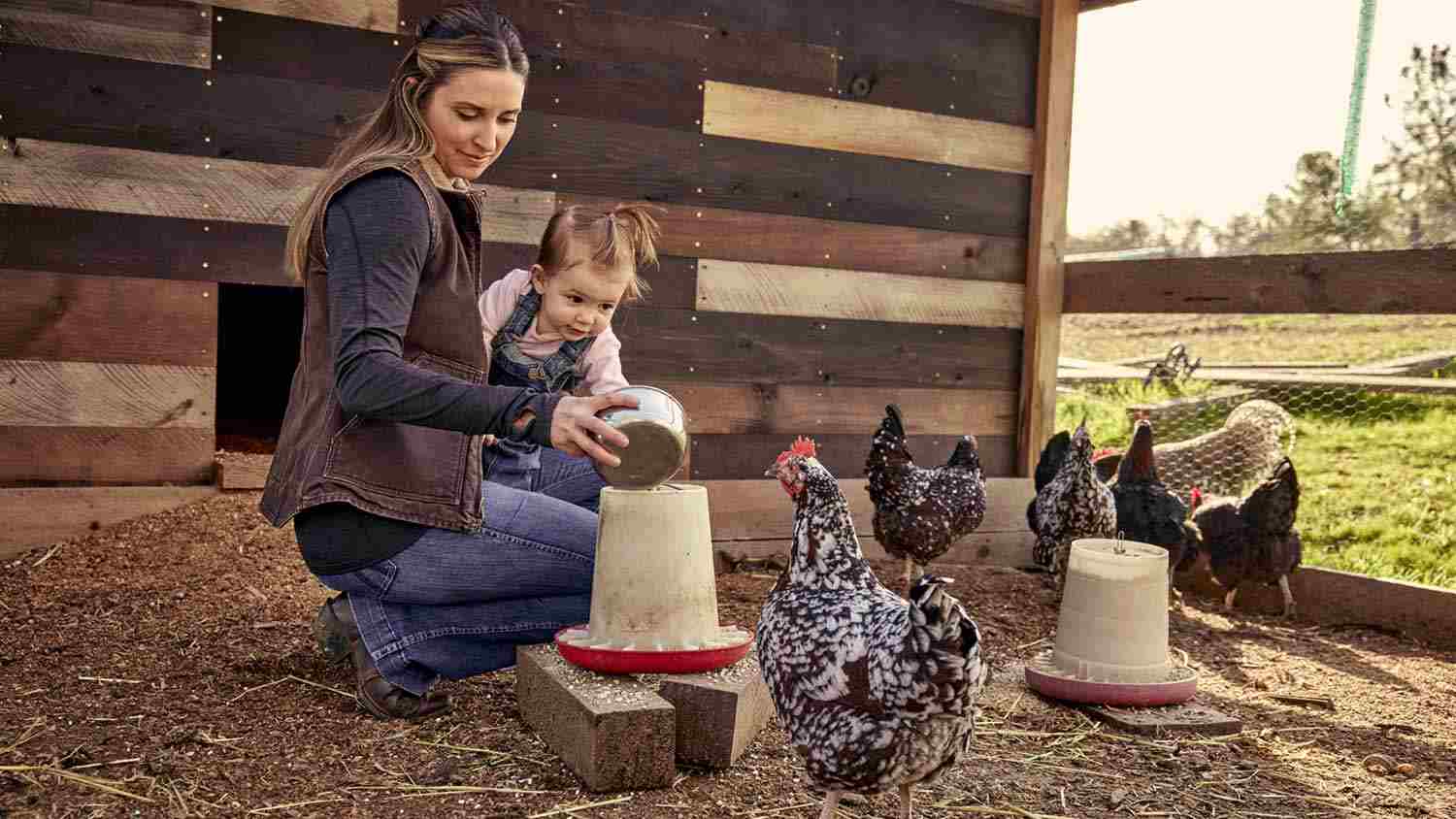 A woman feeds birds while carrying a child in a chicken coop on a farm.