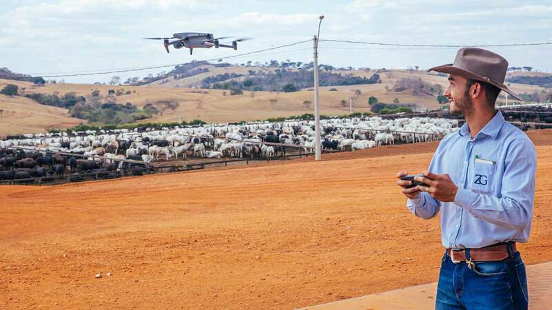 A farmer flies a drone on a cattle feedlot in Brazil.