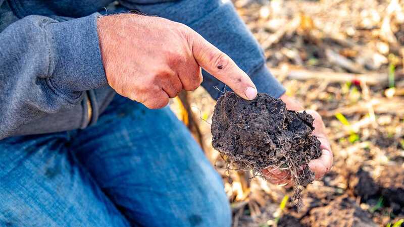 A farmer is holding and pointing at a chunk of soil on his farmland.