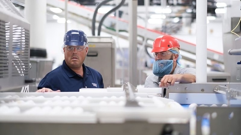 Cargill employees talk at an egg production facility.