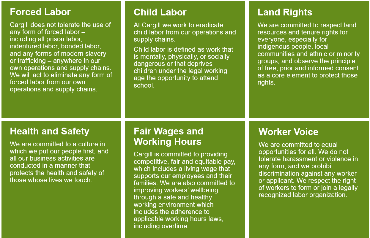 Salient Issues Graphic