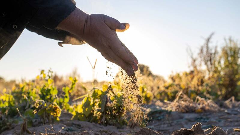 A farmer sprinkles dirt back onto their field.