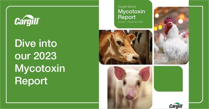 Dive into our 2023 mycotoxin report