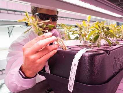 Food and agriculture trends Food and agriculture trends