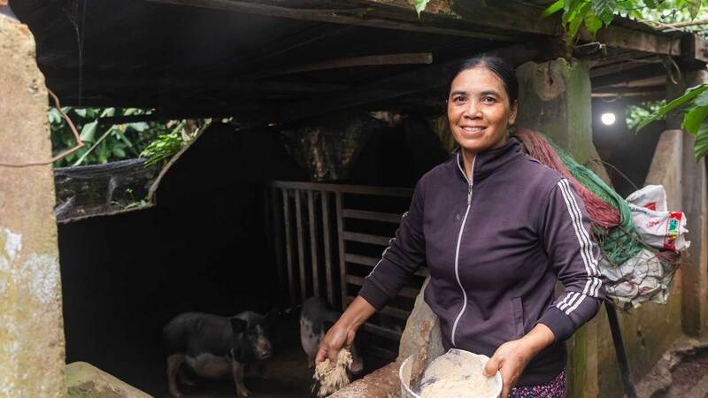 A female trainer feeding her pigs with the formula introduced by the project A female trainer feeding her pigs with the formula introduced by the project