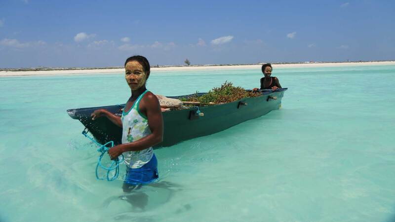 two women seaweed farmers with a boat in the water. two women seaweed farmers with a boat in the water.