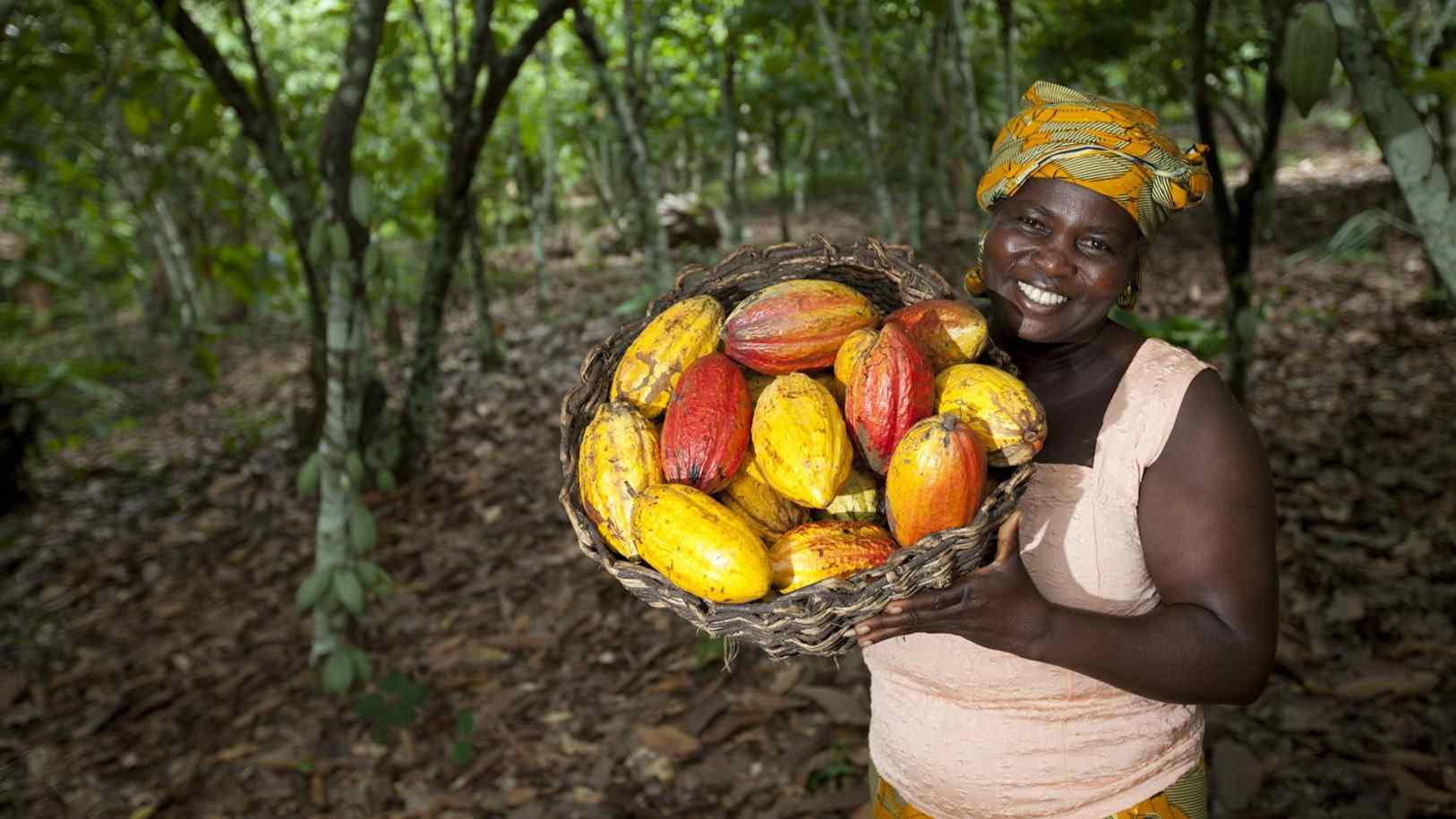 A woman holds a basket of cacao beans that will eventually be used to produce bioenergy and biofuel. 