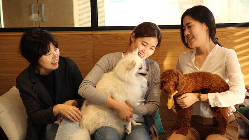 A woman holds a dog while she shops for pet food in a store.