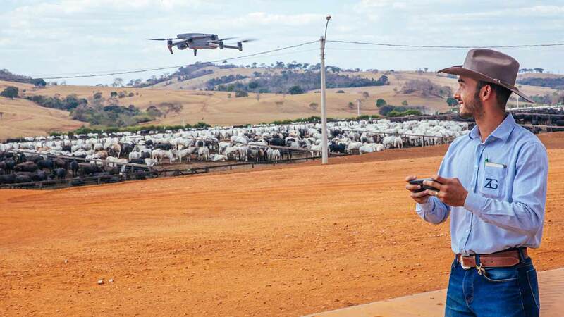 A farmer flies a drone on a cattle feedlot in Brazil. A farmer flies a drone on a cattle feedlot in Brazil.