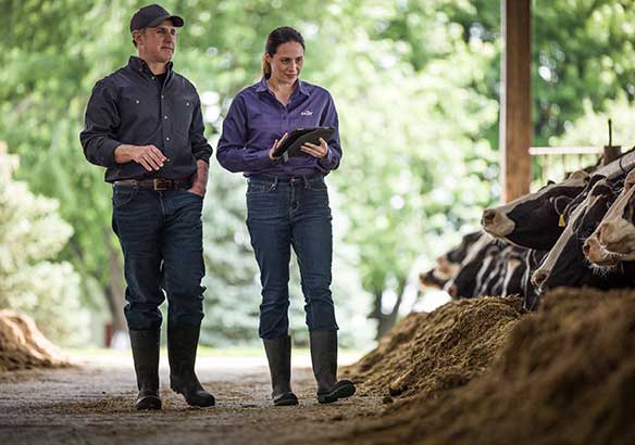 Reduces enteric cattle methane Reduces enteric cattle methane