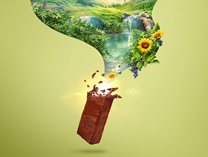 Voyage foods partnership