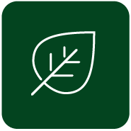 plant icon