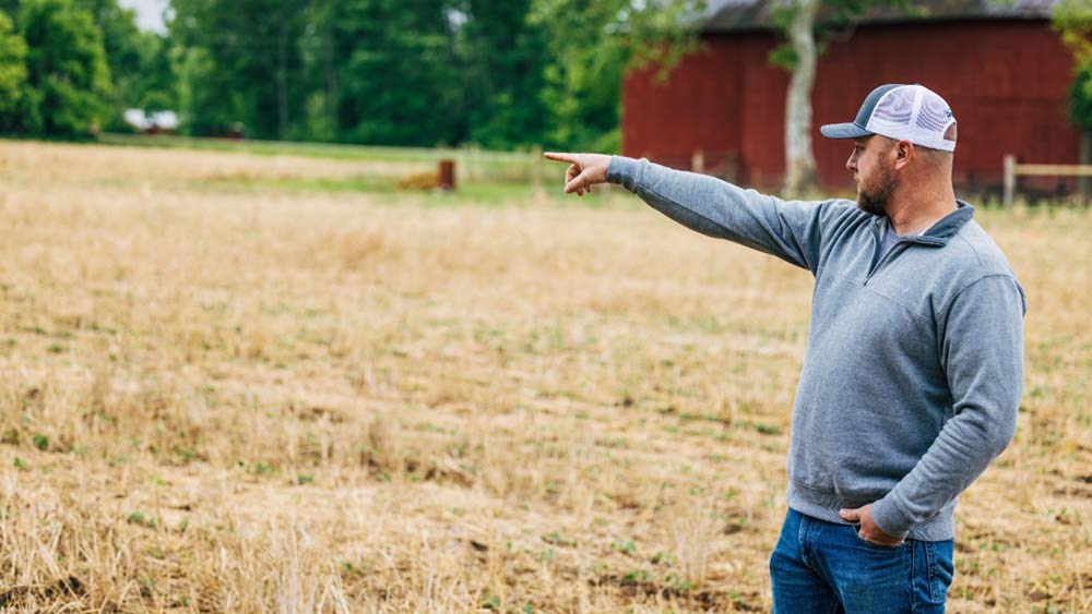 A farmer stands in a field where crops are grown with sustainable agriculture practices like cover crops A farmer stands in a field where crops are grown with sustainable agriculture practices like cover crops