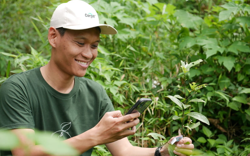 Collecting data and verifing the condition of plants and forest 