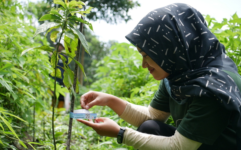Conservation monitoring of 10,000 trees in village forest, Pasuruan