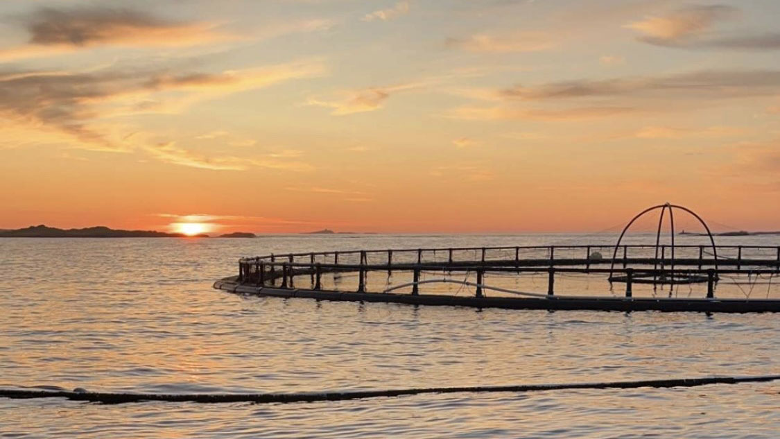 A sunset on a fish farm in the North Sea.