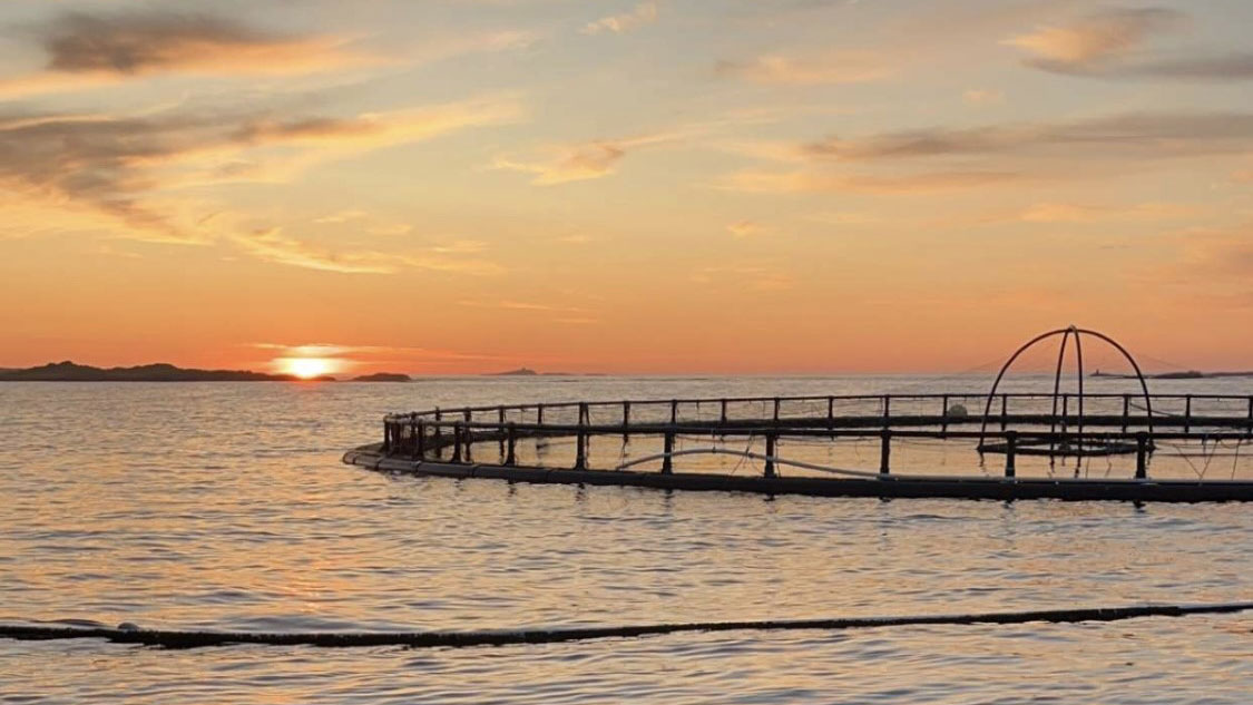 A sunset on a fish farm in the North Sea. A sunset on a fish farm in the North Sea.