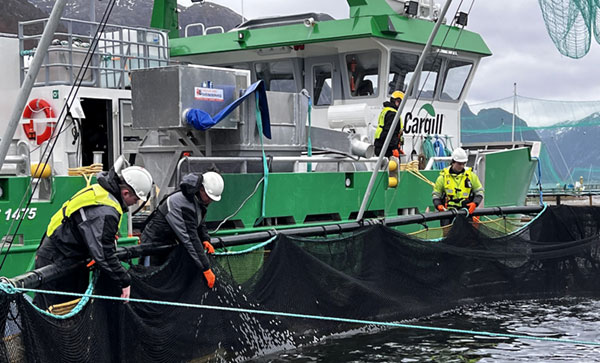 Several Cargill employees working on a salmon fishing boat. 