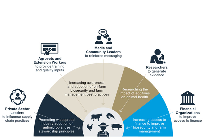 Learn how TRANSFORM is working with partners throughout the value chain to improve farmer livelihoods and strengthen global health security.