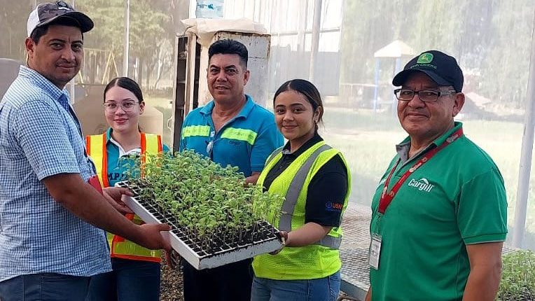A group of employees holds vegetable seedlings produced inside a greenhouse. A group of employees holds vegetable seedlings produced inside a greenhouse.