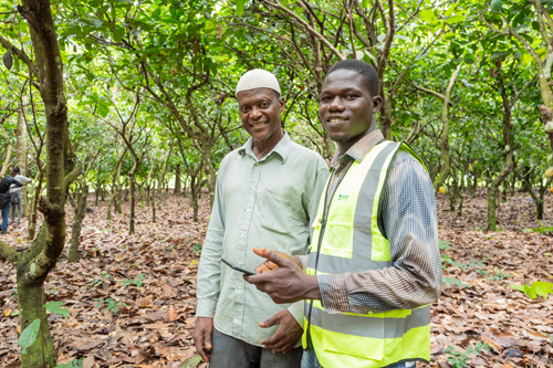 Ending deforestation: Inside our cocoa supply chain progress Ending deforestation: Inside our cocoa supply chain progress