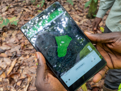 Ending deforestation: Inside our cocoa supply chain progress Ending deforestation: Inside our cocoa supply chain progress