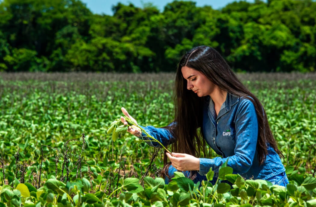 amazon-farm amazon-farm