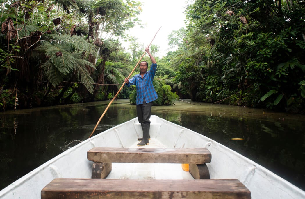 amazon_indigenous amazon_indigenous