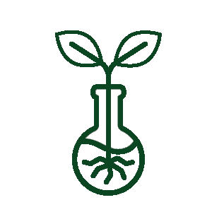 test tube with plant