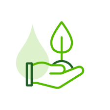 green hand holding plant 