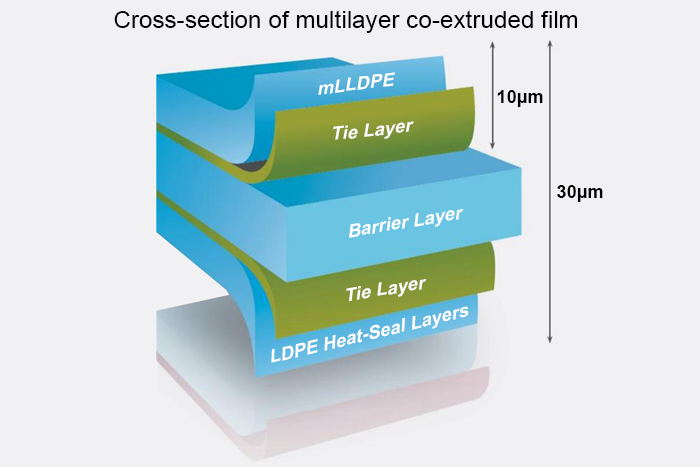 cross-section of multiplayer co-extruded film