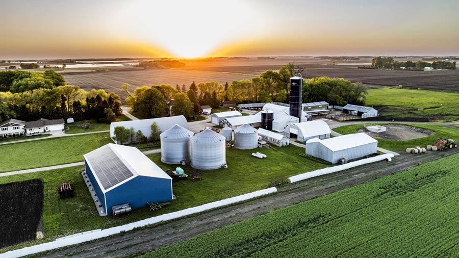 An aerial shot of a farm growing camelina that will produce camelina oil. An aerial shot of a farm growing camelina that will produce camelina oil.